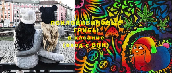 сатива Осташков