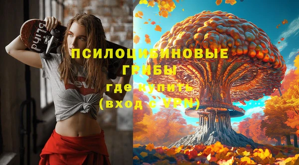 соль ск Балахна